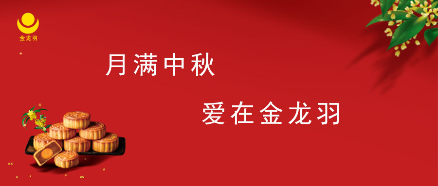 ���������������°�ʤ���߹�����